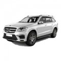 GL X166 NTG 4.5 (2013-2015)